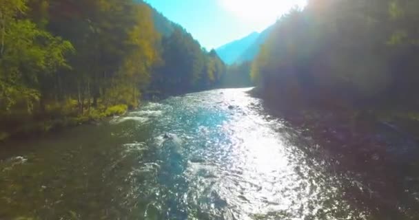 Laaggelegen vlucht over verse snelle bergrivier met rotsen op zonnige zomerochtend. — Stockvideo