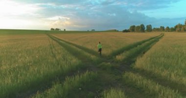 Sportif çocuk yeşil buğday tarlasında koşuyor. Kırsal çayırlarda akşam sporu alıştırmaları. Mutlu bir çocukluk sağlıklı bir yaşam biçimidir. Radikal hareket, güneş ışınları ve ot.