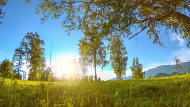 Berg äng Time-lapse på sommaren eller höst tiden. Vild natur och landsbygd. Motoriserad Slider Dolly rörelse. — Stockvideo