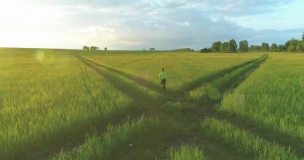 연약 한 어린이가 푸른 밀밭을 거니고 있다. 시골 초원에서의 야간 스포츠 훈련. 행복 한 어린 시절은 건전 한 생활 방식이다. 광선의 이동, 태양 광선 및 풀. — 비디오
