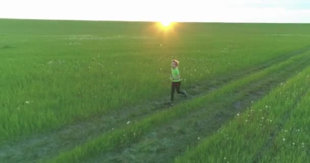 A criança desportiva atravessa um campo de trigo verde. Exercícios de treino desportivo nocturno no prado rural. Uma infância feliz é um modo de vida saudável. Movimento radial, raios de sol e grama. — Vídeo de Stock