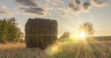 Yaz günbatımında düz tepe çayır zaman çizelgesi. Vahşi doğa ve çim tarlasında kırsal samanlıklar. Güneş ışınları ve yeşil ağaçlar. Motorlu doli kaydırıcı