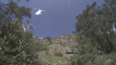 Yazın 4K UHD dağ zaman dilimi. Bulutlar yeşil ağaçları ve güneş ışınlarını hareket ettirir.