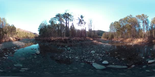 360 VR virtuelle Realität eines wilden Gebirges, Kiefernwaldes und Flusses fließt. Nationalpark, Wiese und Sonnenstrahlen. — Stockvideo