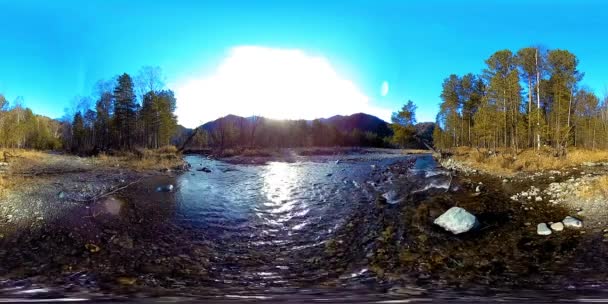 360 VR virtuelle Realität eines wilden Gebirges, Kiefernwaldes und Flusses fließt. Nationalpark, Wiese und Sonnenstrahlen. — Stockvideo