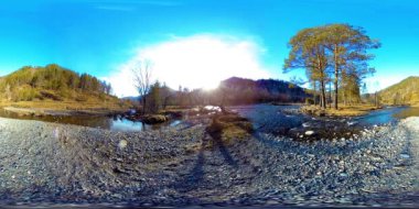Vahşi dağların, çam ormanlarının ve nehir akışlarının 360 VR sanal gerçekliği. Ulusal park, çayır ve güneş ışınları.