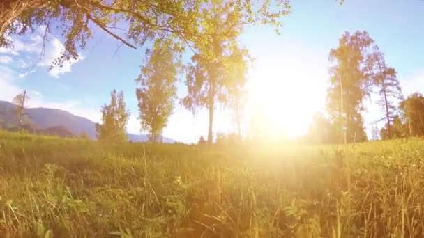 Sunny rural meadow at mountain landscape with green grass, trees and sun rays. Diagonal movement on motorised slider dolly. — Stock Video