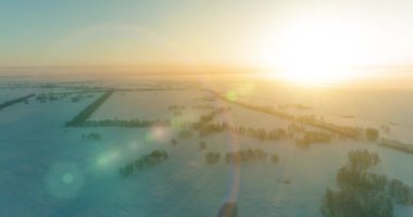 Arktik çayırlı soğuk kış manzarası, karla kaplı ağaçlar ve ufukta sabah güneşleri..