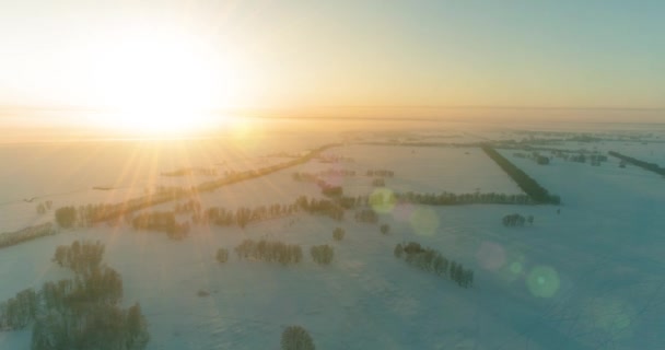 Luchtfoto drone uitzicht op koud winterlandschap met poolveld, bomen bedekt met vorst sneeuw en ochtendzon stralen over horizon. — Stockvideo