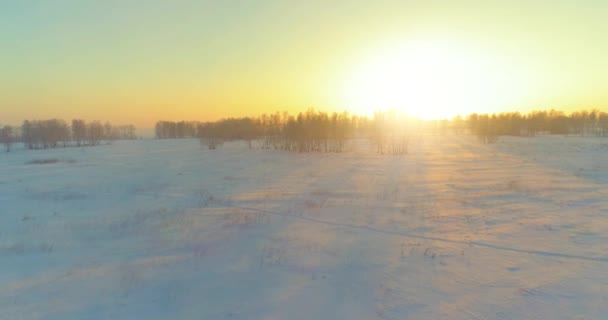 Drohnenaufnahme der kalten Winterlandschaft mit arktischem Feld, Bäumen mit Frostschnee und Morgensonnenstrahlen über dem Horizont. — Stockvideo