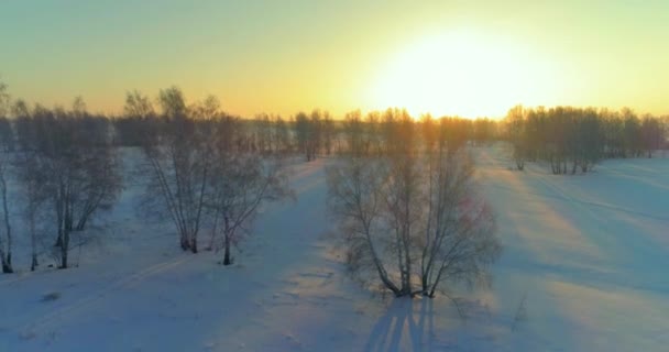 Drohnenaufnahme der kalten Winterlandschaft mit arktischem Feld, Bäumen mit Frostschnee und Morgensonnenstrahlen über dem Horizont. — Stockvideo