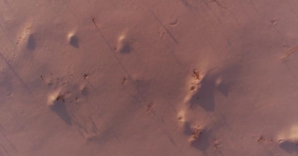 Vista aérea de drones del frío paisaje invernal con campo ártico, árboles cubiertos de nieve helada y rayos de sol matutinos sobre el horizonte. — Vídeos de Stock