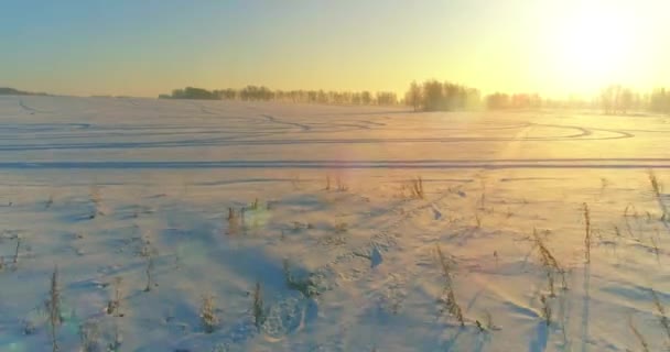 Vista aérea de drones del frío paisaje invernal con campo ártico, árboles cubiertos de nieve helada y rayos de sol matutinos sobre el horizonte. — Vídeos de Stock