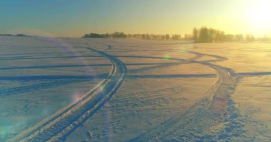Arktik çayırlı soğuk kış manzarası, karla kaplı ağaçlar ve ufukta sabah güneşleri..