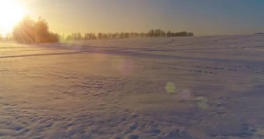 Arktik çayırlı soğuk kış manzarası, karla kaplı ağaçlar ve ufukta sabah güneşleri..