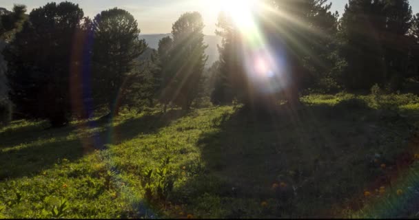 Timelapse del prado de montaña. Naturaleza salvaje y campo rural. Nubes, árboles, hierba verde y rayos de sol movimiento. Movimiento de cámara. — Vídeos de Stock