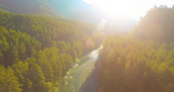 Vol à basse altitude au-dessus d'une rivière de montagne fraîche et rapide avec des rochers au soleil matin d'été. — Video