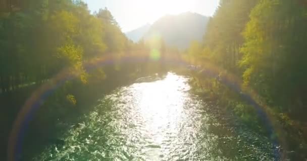 Vol à basse altitude au-dessus d'une rivière de montagne fraîche et rapide avec des rochers au soleil matin d'été. — Video