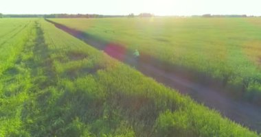 Kırsal yoldaki bir çim tarlasında bisiklet süren genç bir çocuğun hava manzarası. Güneş ışığı ve ışınlar.