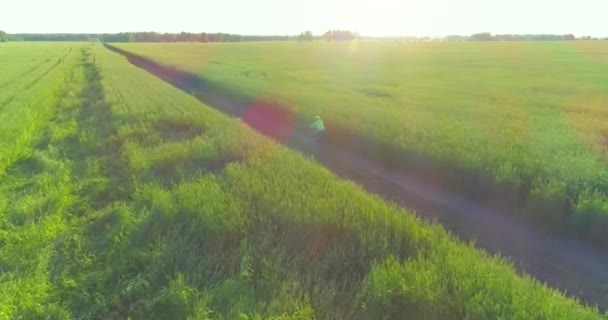 Letecký pohled na mladého chlapce, který jede na kole přes pšeničné trávníkové pole na staré venkovské silnici. Sluneční světlo a paprsky.