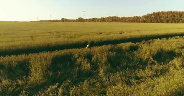 Widok z lotu ptaka na młodego chłopca, który jeździ na rowerze przez pole trawy pszennej na starej wiejskiej drodze. Światło słoneczne i promienie. — Wideo stockowe