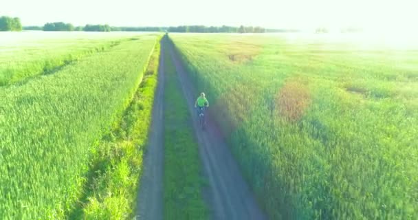 Vista aérea sobre o menino, que monta uma bicicleta através de um campo de grama de trigo na antiga estrada rural. Luz solar e vigas. — Vídeo de Stock