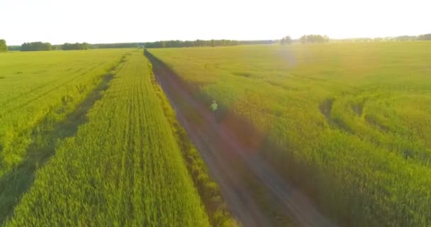 Vista aérea sobre el niño, que monta en bicicleta a través de un campo de hierba de trigo en el viejo camino rural. Luz solar y rayos. — Vídeos de Stock