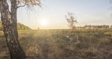 Yazın ya da sonbaharda çayır zamanlaması. Kırsal alan cadısı güneş ışınları, ağaçlar ve yeşil çimenler. Gün batımında motorlu doli kaydırıcı
