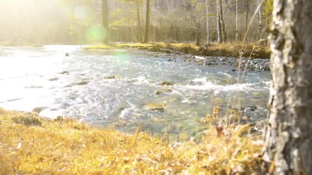 Dolly deslizante tiro da água espirrando em um rio de montanha perto da floresta. Rochas molhadas e raios solares. Movimento horizontal estável. — Vídeo de Stock