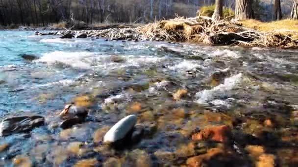 Dolly deslizante tiro da água espirrando em um rio de montanha perto da floresta. Rochas molhadas e raios solares. Movimento horizontal estável. — Vídeo de Stock