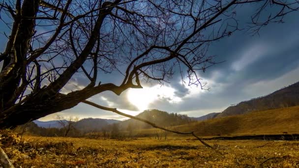 Lapso de tempo da árvore da morte e grama amarela seca na paisagem montanhosa com nuvens e raios de sol. Movimento deslizante horizontal — Vídeo de Stock