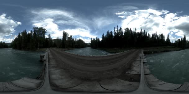360 VR virtual reality van een wild bos. Dennenbos, kleine snelle, koude bergrivier. Nationaal park. — Stockvideo