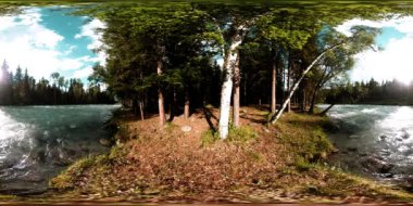Vahşi bir ormanın 360 VR sanal gerçekliği. Çam ormanı, küçük, hızlı, soğuk dağ nehri. Ulusal park.