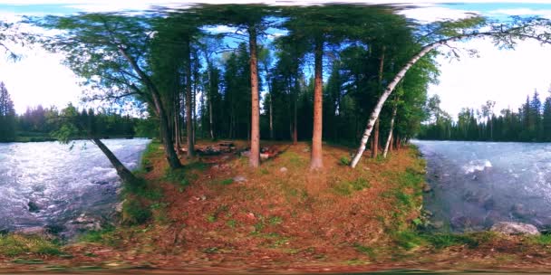 360 VR realidad virtual de un bosque salvaje. Bosque de pinos, pequeño río de montaña rápido y frío. Parque Nacional. — Vídeos de Stock