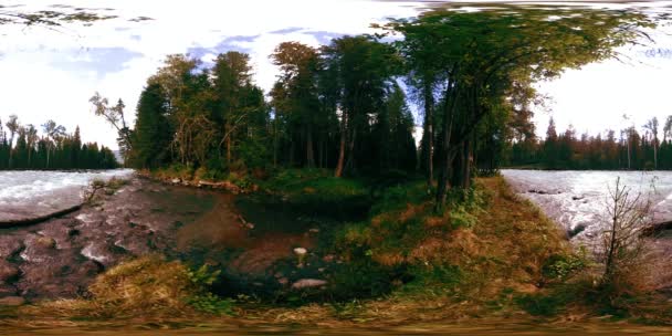 360 VR realidad virtual de un bosque salvaje. Bosque de pinos, pequeño río de montaña rápido y frío. Parque Nacional. — Vídeo de stock