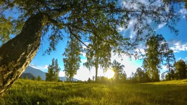 Mountain meadow time-lapse at the summer or autumn time. Wild nature and rural field. Motorised slider dolly movement. — Stock Video