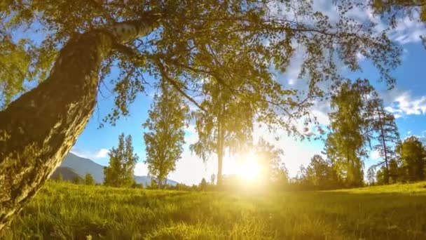 Mountain meadow time-lapse at the summer or autumn time. Wild nature and rural field. Motorised slider dolly movement. — Stock Video