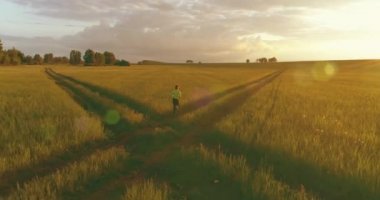 Sportif çocuk yeşil buğday tarlasında koşuyor. Kırsal çayırlarda akşam sporu alıştırmaları. Mutlu bir çocukluk sağlıklı bir yaşam biçimidir. Radikal hareket, güneş ışınları ve ot.