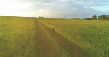 Sportif çocuk yeşil buğday tarlasında koşuyor. Kırsal çayırlarda akşam sporu alıştırmaları. Mutlu bir çocukluk sağlıklı bir yaşam biçimidir. Radikal hareket, güneş ışınları ve ot.