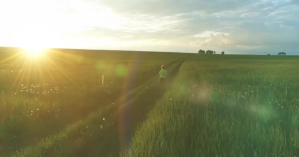 Спортивный ребенок бегает по зеленому пшеничному полю в летний дождь. Вечерние спортивные тренировки на сельском лугу. Счастливое детство это здоровый образ жизни. Радиальное движение, солнечные лучи и трава. — стоковое видео