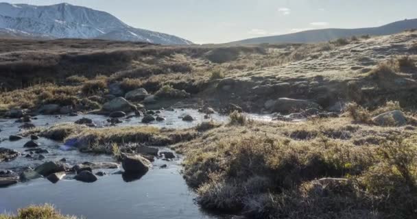 Timelapse des prairies de montagne en été ou en automne. Nature sauvage et vallée rurale. Rayons solaires, petit ruisseau et herbe jaune. Mouvement du curseur Dolly — Video