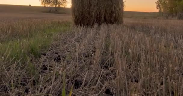 Flat hill meadow timelapse at the summer sunrise time. Wild nature and rural haystacks on grass field. Sun rays and green trees. Motorised dolly slider — Stock Footage Flat hill meadow timelapse at the summer sunrise time. Wild nature and rural haystacks on grass field. Sun rays and green trees. Motorised dolly slider Stock Footage