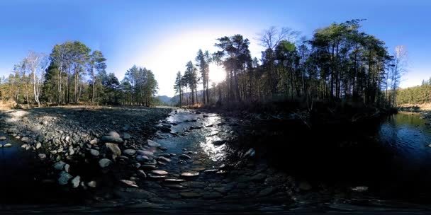 360 VR virtuelle Realität eines wilden Gebirges, Kiefernwaldes und Flusses fließt. Nationalpark, Wiese und Sonnenstrahlen. — Stockvideo