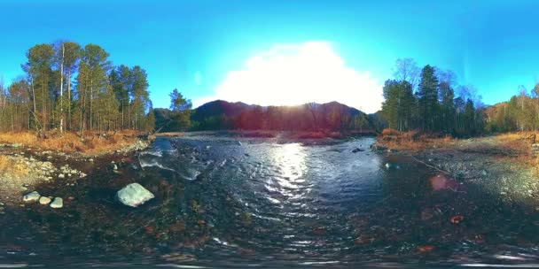 360 VR réalité virtuelle d'une montagne sauvage, pinède et rivière coule. Parc national, prairie et rayons du soleil. — Video