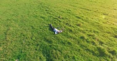 Yeşil çimlerin üzerinde sarı kırsal alanda not defteri olan bir adamın etrafında alçak yörünge uçuşları..