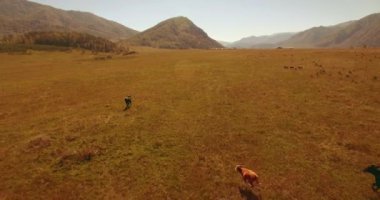 Güneşli yaz sabahında kayalarla birlikte taze, hızlı dağ nehri üzerinde alçak irtifa uçuşu..