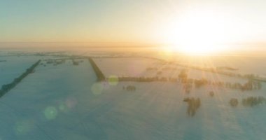 Arktik çayırlı soğuk kış manzarası, karla kaplı ağaçlar ve ufukta sabah güneşleri..