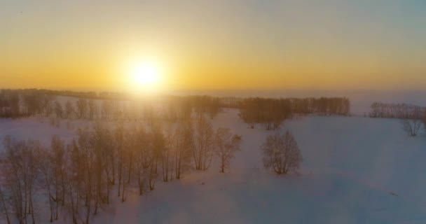 Воздушный беспилотник с видом на холодный зимний пейзаж с арктическим полем, деревья, покрытые морозным снегом и утренние солнечные лучи над горизонтом. — стоковое видео