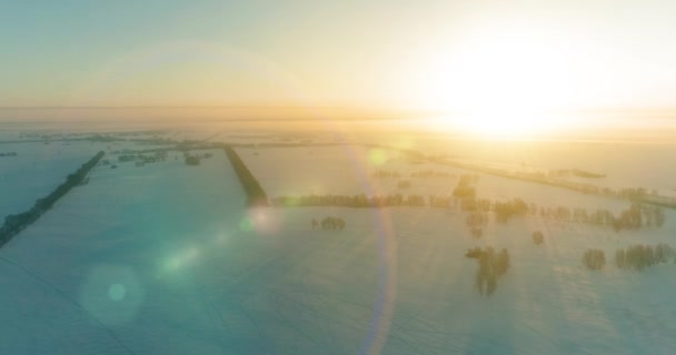 Aerial drone view of cold winter landscape with arctic field, trees covered with frost snow and morning sun rays over horizon. — Stock Video