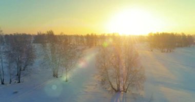 Arktik çayırlı soğuk kış manzarası, karla kaplı ağaçlar ve ufukta sabah güneşleri..